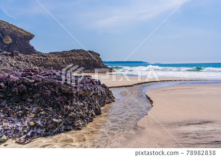 (Shizuoka Prefecture) Kisami Ohama, Izu Shimoda, sandy beach and rocky area 78982838