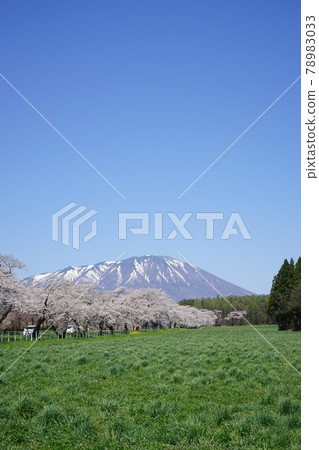 Koiwai farm in spring is the best Koiwai farm in spring is the best 78983033