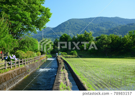 神奈川縣海成町的田園風光 78983157
