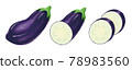 Eggplant illustration 78983560