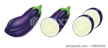 Eggplant illustration Eggplant illustration 78983560