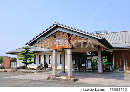 Hot spring center maple 78983710