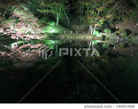 夜公園 夜公園 78985480
