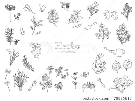 草藥插圖集 78985612