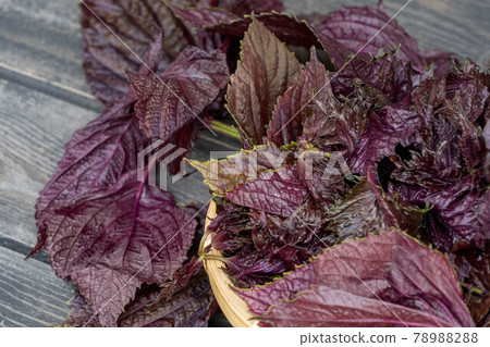 Red shiso for pickled plums 78988288