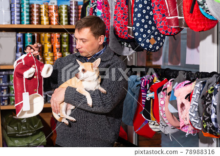 Male customer with chihuahua choosing clothes for dog in pet store Male customer with chihuahua choosing clothes for dog in pet store 78988316