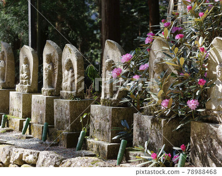 Ishikusuhana no Hana and Jizo 78988468