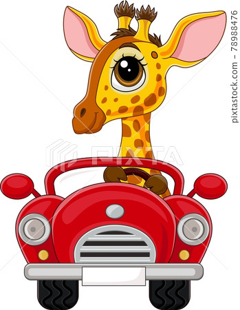 Cartoon baby giraffe driving red car 78988476