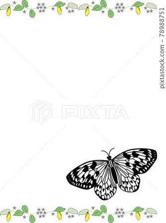 Kikaijima background template vertical by large tree nymph Kikaijima background template vertical by large tree nymph 78988751