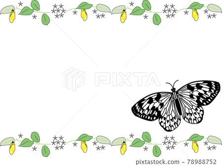 Kikaijima background template by large tree nymph Kikaijima background template by large tree nymph 78988752