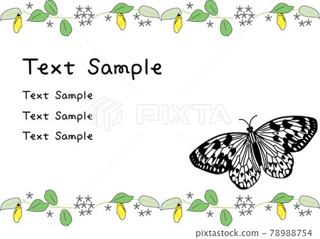 Kikaijima background template by large tree nymph with text sample Kikaijima background template by large tree nymph with text sample 78988754