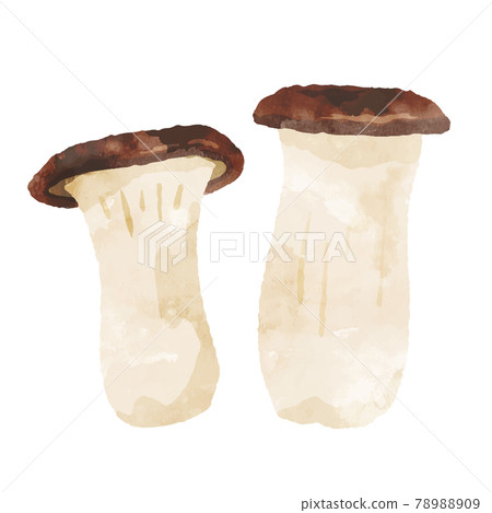 國王小號的水彩插圖 78988909