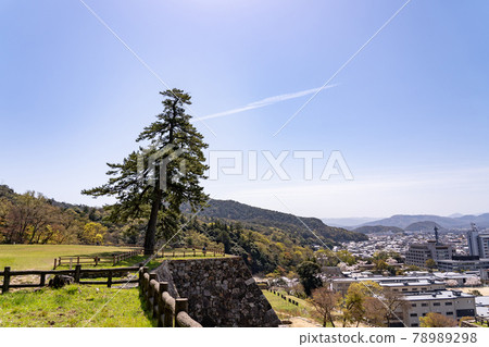 Tottori City, Tottori Prefecture Spring Tottori Castle Tenkyu Maru and Ishigaki 78989298