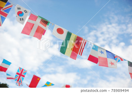 The national flag The national flag 78989494