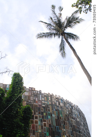 Palm tree Palm tree 78989495