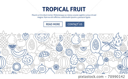 Tropical Fruit Banner Design Tropical Fruit Banner Design 78990142