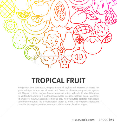 Tropical Fruit Line Concept Tropical Fruit Line Concept 78990165