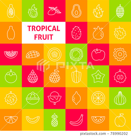 Tropical Fruit Line Icons Tropical Fruit Line Icons 78990202