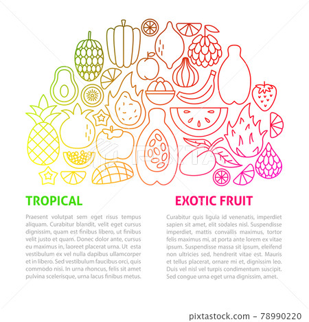 Exotic Fruit Line Template Exotic Fruit Line Template 78990220