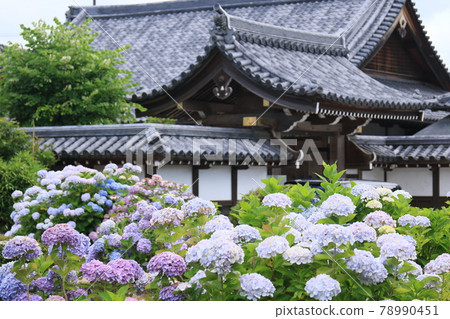 Gesshoji Temple 28 78990451