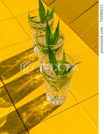 Refreshing summer drinks in crystal glasses with green leaves yellow tile background harsh shadows cold natural cocktail 78990622