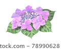 Light purple watercolor hydrangea illustration 03 78990628