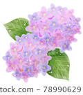 Purple watercolor hydrangea illustration 04 78990629