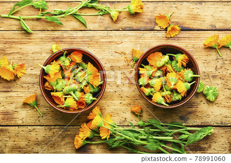 Natural medicine,marigold flowers Natural medicine,marigold flowers 78991060