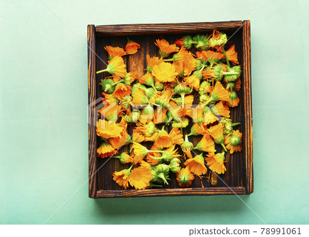 Marigold flowers or calendula,Chinese herbal medicine 78991061