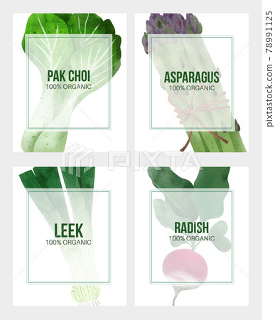 Summer veggies banner, hand drawn vector watercolor illustration 78991125