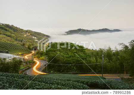 山上的茶園、彎曲的馬路、彎曲的車軌,雲海加護所寫。 山上的茶園、彎曲的馬路、彎曲的車軌,雲海加護所寫。 78991286