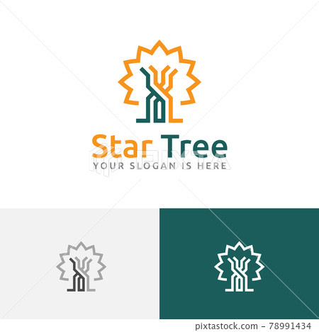 Star Tree Forest Nature Simple Line Business Logo Star Tree Forest Nature Simple Line Business Logo 78991434
