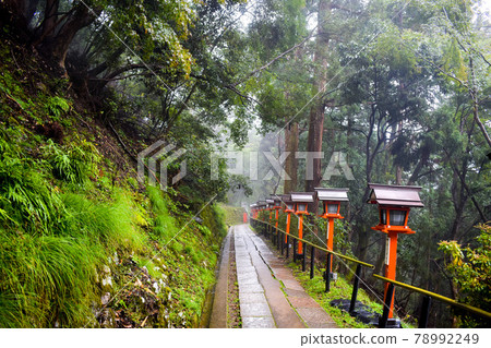 Climbing Mt. Kurama_99-fold approach | Fog scenery 78992249