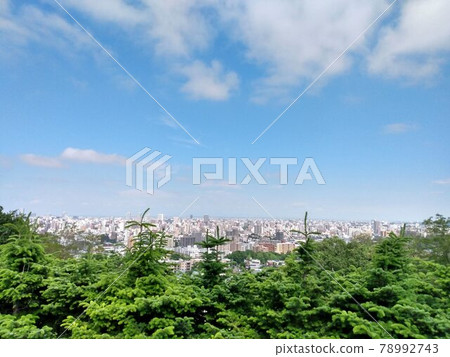城市 城市 78992743