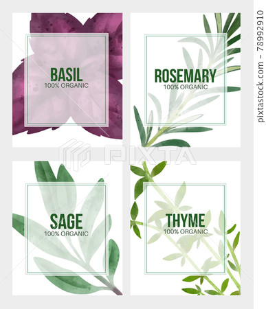 Summer veggies banner, hand drawn vector watercolor illustration Summer veggies banner, hand drawn vector watercolor illustration 78992910