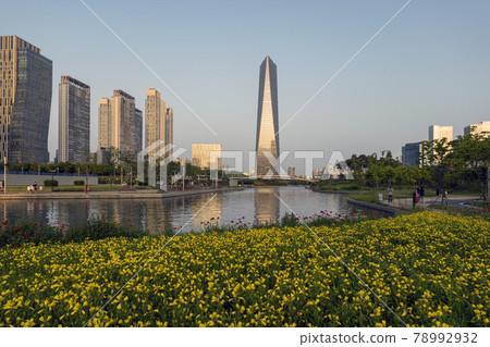 Songdo New Town 78992932