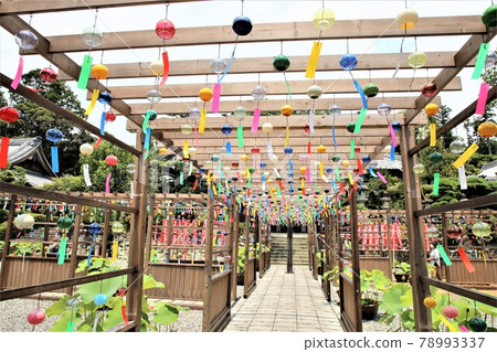 Wind-bell Summer's tradition 78993337