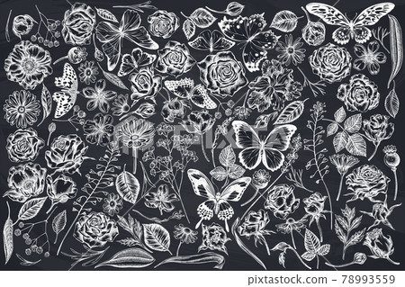 Vector set of hand drawn chalk shepherd's purse, heather, iris japonica, sakura, gypsophila 78993559