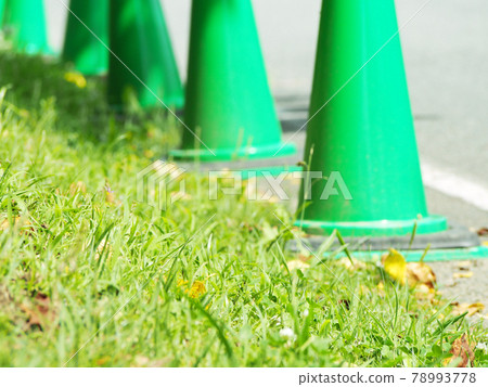 Green cone along the road 78993778