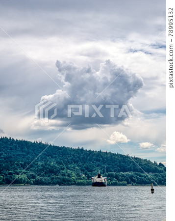 Ocean-going freight vessel in Pacific ocean bay Ocean-going freight vessel in Pacific ocean bay 78995132