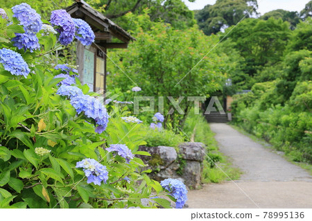 Joruri寺 Joruri寺 78995136