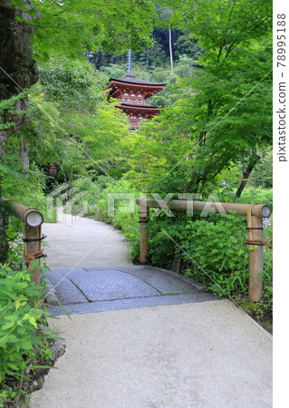 Joruri寺 Joruri寺 78995188