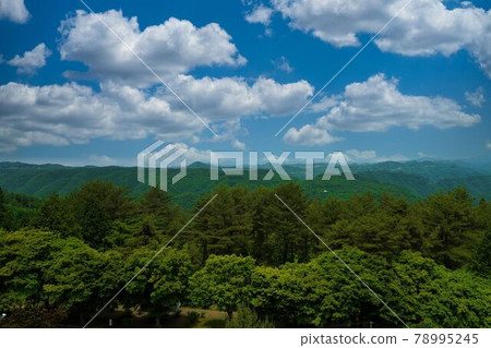 從高橋市八高山眺望的風景 78995245