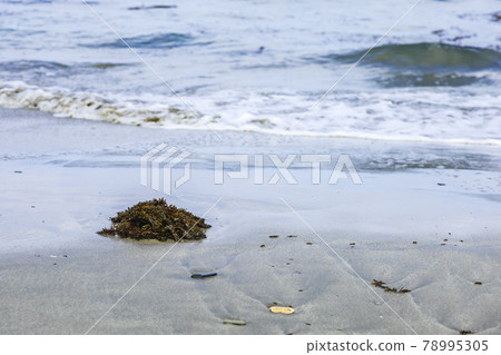 Hitachi City, Ibaraki Prefecture, on the beach 78995305