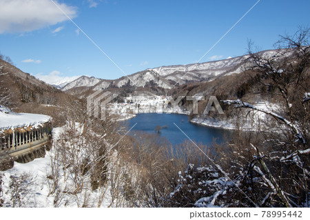 藤原湖在冬天 78995442