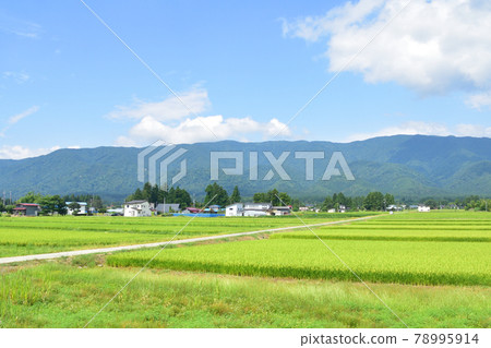 Scenery from the Yamagata Railway Flower Nagai Line and the train window in the summer of 2020 78995914