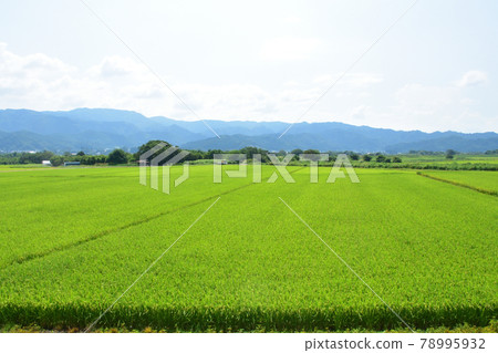 Scenery from the Yamagata Railway Flower Nagai Line and the train window in the summer of 2020 78995932