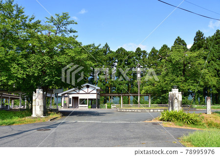 Scenery from the Yamagata Railway Flower Nagai Line and the train window in the summer of 2020 Scenery from the Yamagata Railway Flower Nagai Line and the train window in the summer of 2020 78995976