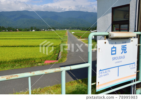 2020年夏天山形鐵道花長井線和火車窗外的風景 2020年夏天山形鐵道花長井線和火車窗外的風景 78995983