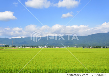 Scenery along the Yamagata Railway Flower Nagai Line (Summer 2020) Scenery along the Yamagata Railway Flower Nagai Line (Summer 2020) 78996005